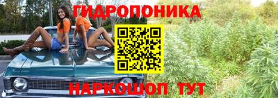 крисы Северобайкальск